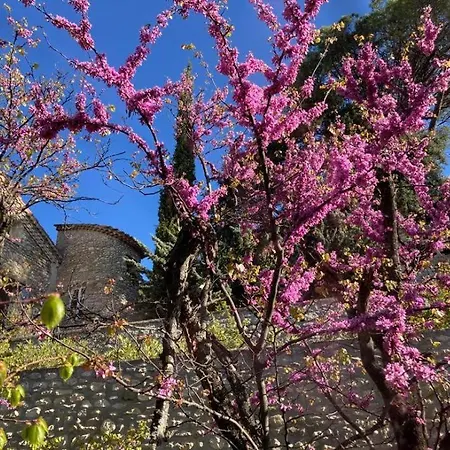 La Tour Mystique Bed & Breakfast *