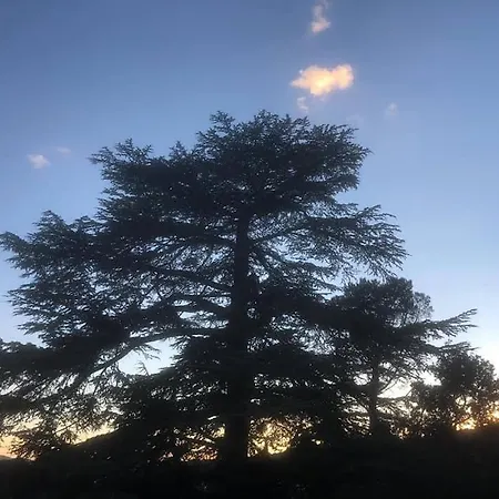La Tour Mystique نييون